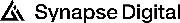 Synapse Digital AI Logo